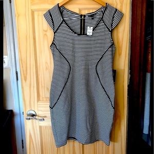 Express Striped Black & White Midi Dress